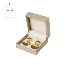 Estuche Pendientes